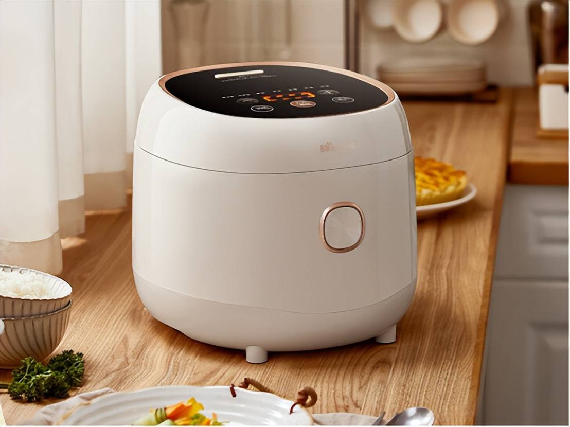 牌前十名：臻选十款绝妙精品速速围观！pg电子模拟器免费试玩电饭锅口碑品(图16)